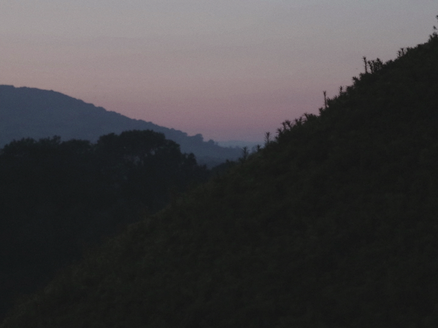Still from the poetry film Morning. It's a landscape shot during sunset.