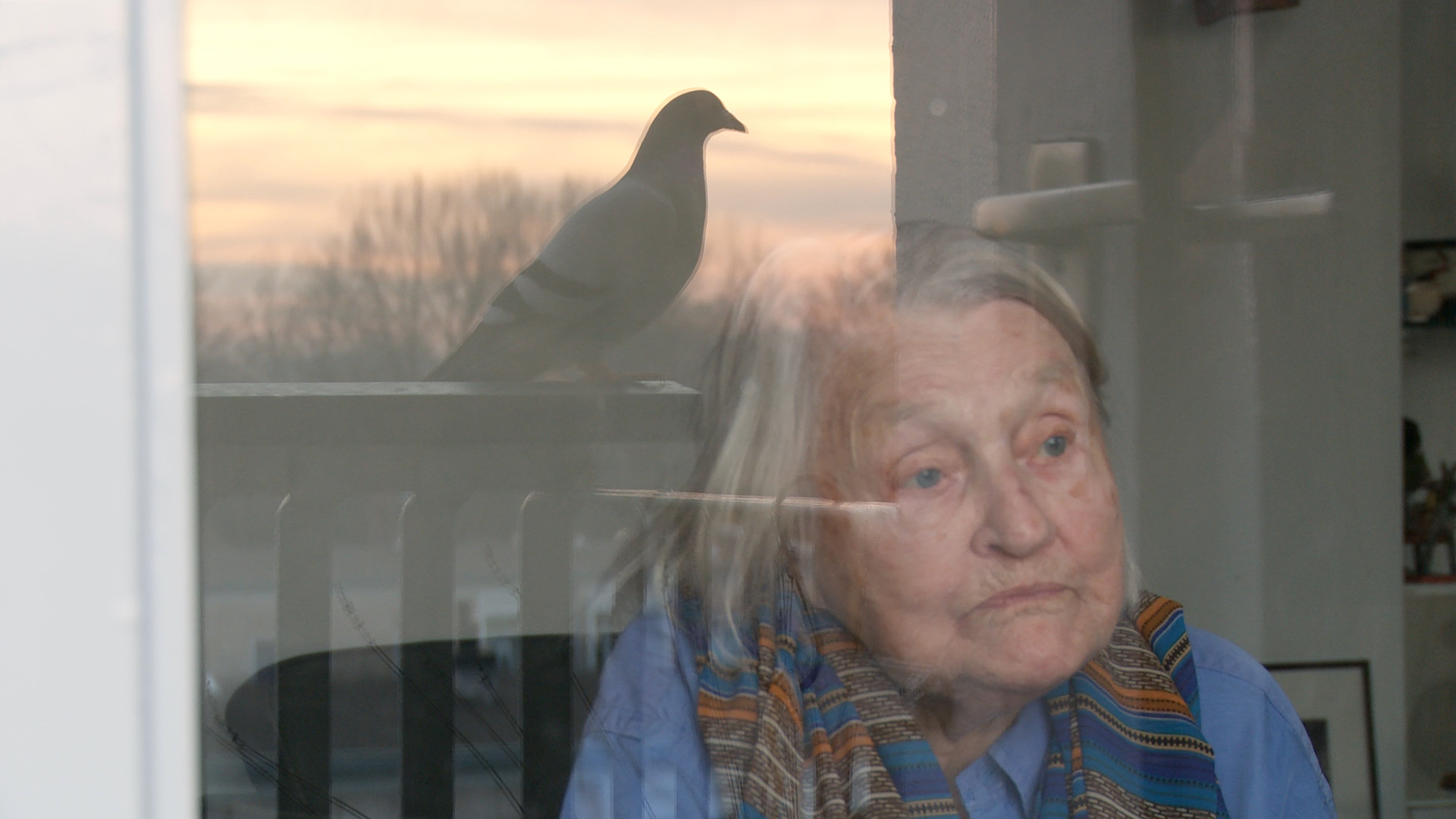 Still from the film Een klein beetje nog. Elisabeth is sitting in front of her window. The reflection of a pigeon is seen in the window.