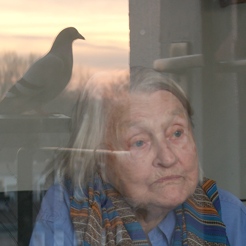 Thumbnail for the film Een klein beetje nog. Elisabeth is sitting in front of her window. The reflection of a pigeon is seen in the window.