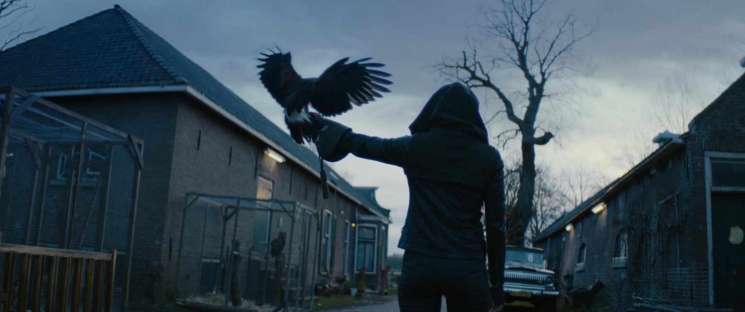 Still from Sphinx. It's a medium wide shot from the back of a hooded figure, holding out their arm. On the arm is a huge predator bird, wings expanded as if it's about to take flight. In the background you can see some typical Dutch farm surroundings.